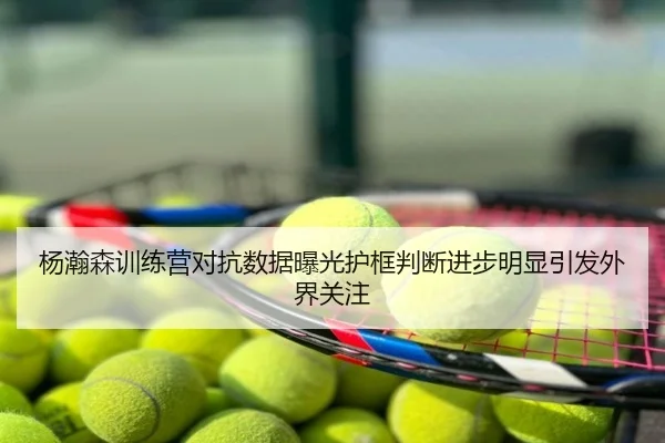 杨瀚森训练营对抗数据曝光护框判断进步明显引发外界关注