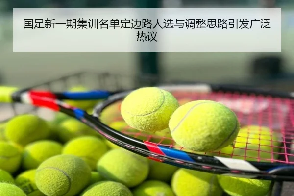 国足新一期集训名单定边路人选与调整思路引发广泛热议